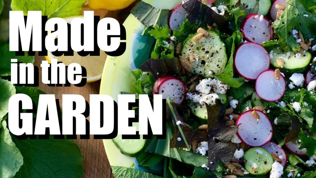 CaliKim: Made in the Garden: Fresh Picked Fall Greens & Radish Salad Made in the Garden: Fresh Picked Fall Greens & Radish Salad