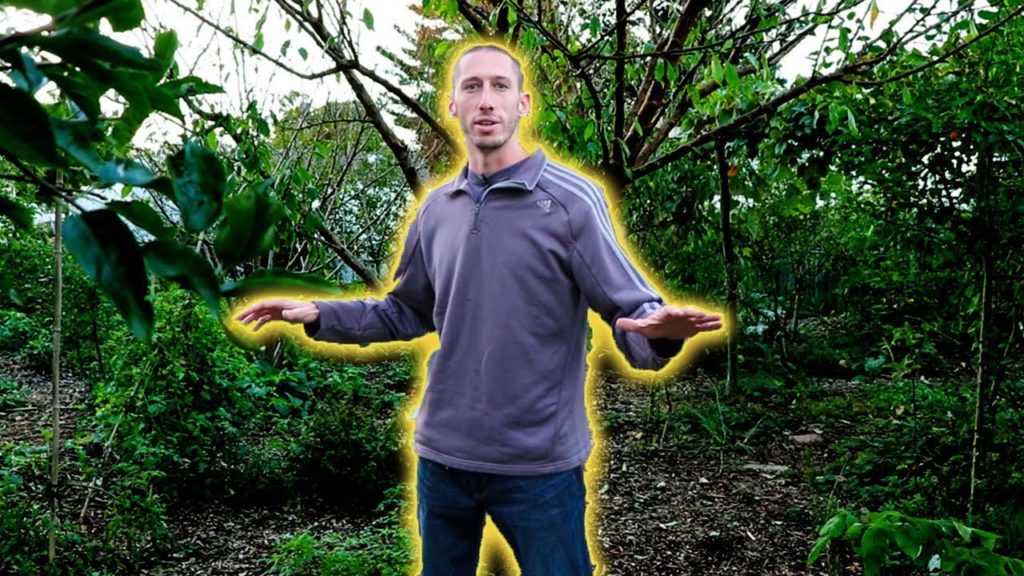 Back To Eden Food Forest, No Till Gardening