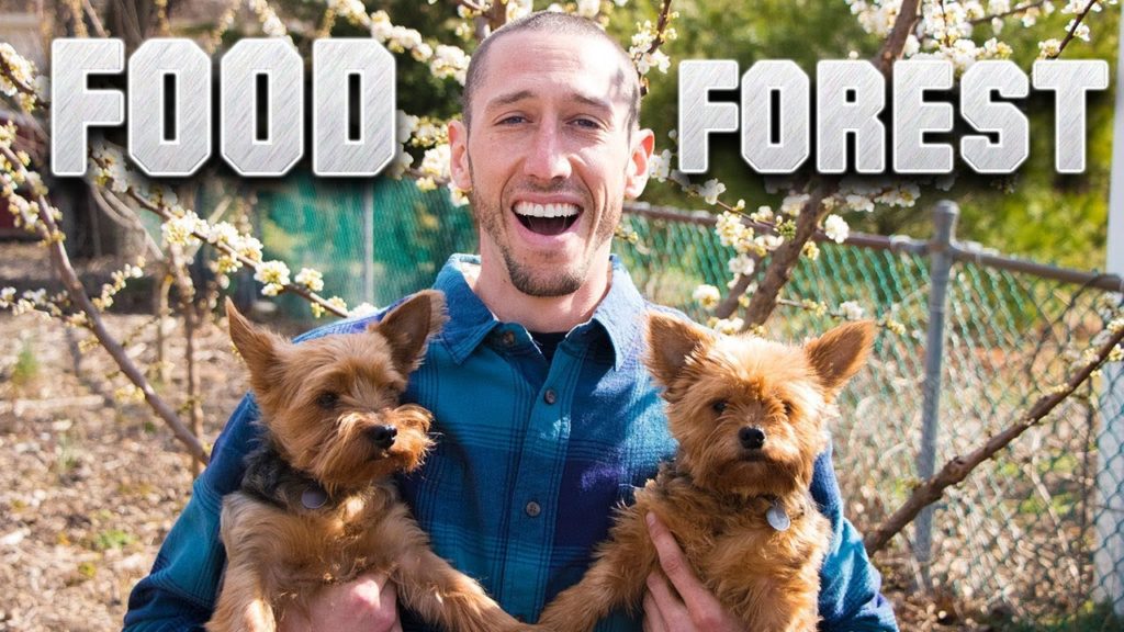 James Prigioni: Food Forest, A Functional Design Food Forest, A Functional Design