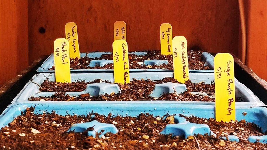 Epic Gardening: How to Start Pepper Seeds: Growing 7 Unique and Beautiful Varieties! How to Start Pepper Seeds: Growing 7 Unique and Beautiful Varieties!