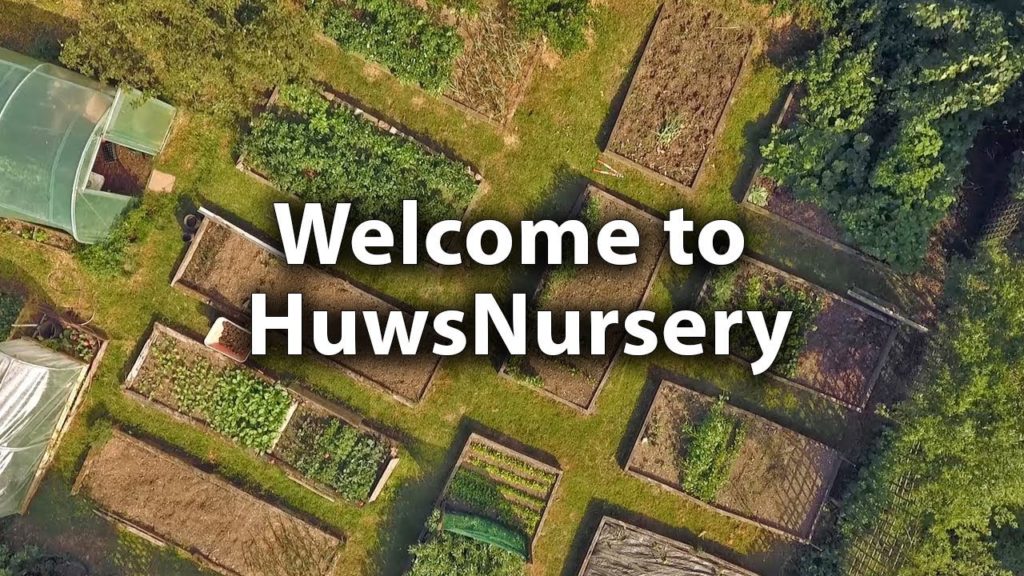 Welcome to HuwsNursery