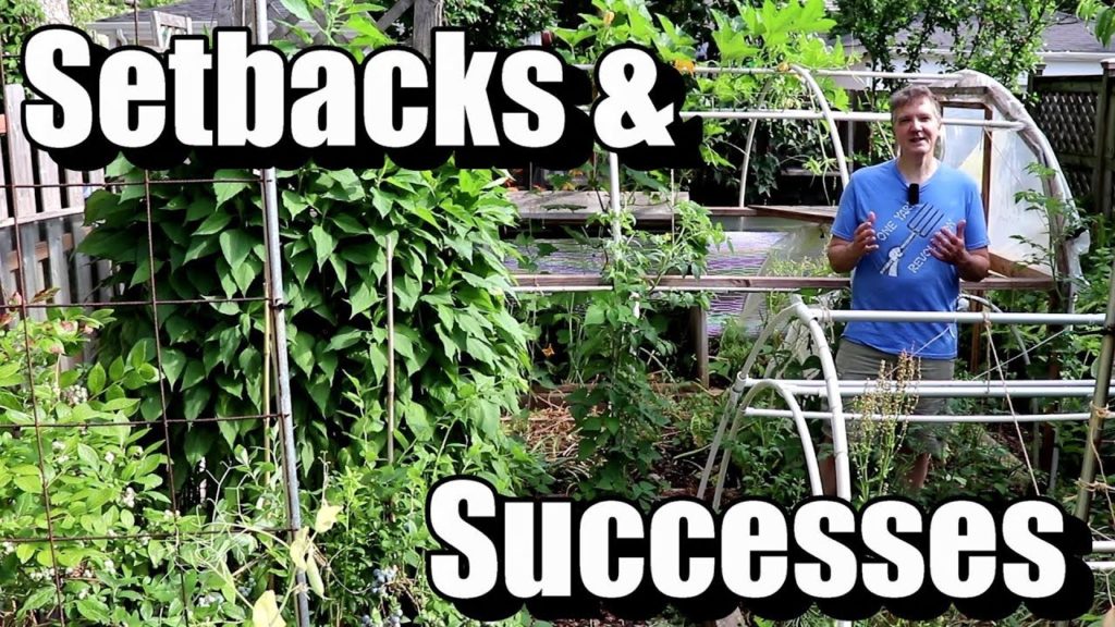 The Slowest Start to Our Summer Garden Ever: Setbacks and Successes