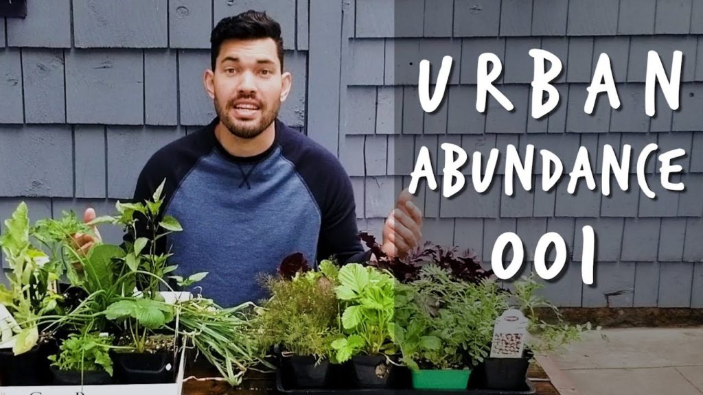 My Spring Plant Haul | Urban Abundance Ep. 001