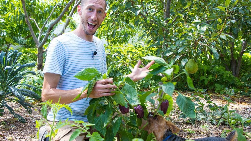 You Asked For It!!! Full Garden Tour