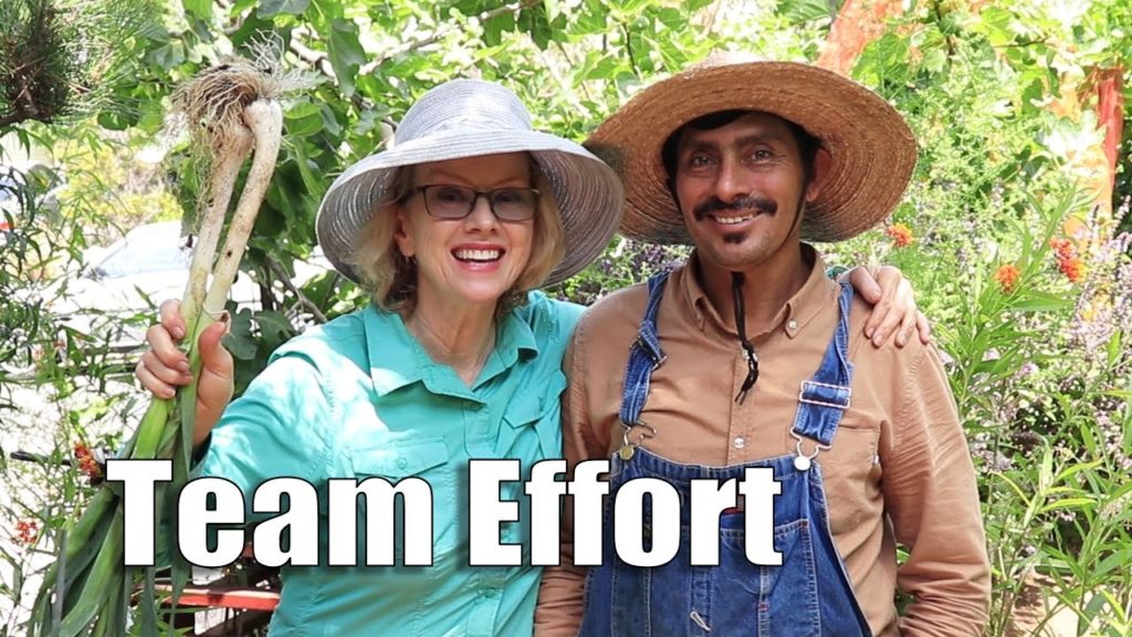 HUGE WORKDAY and GOODBYE to Zachary | Los Angeles Edible Garden