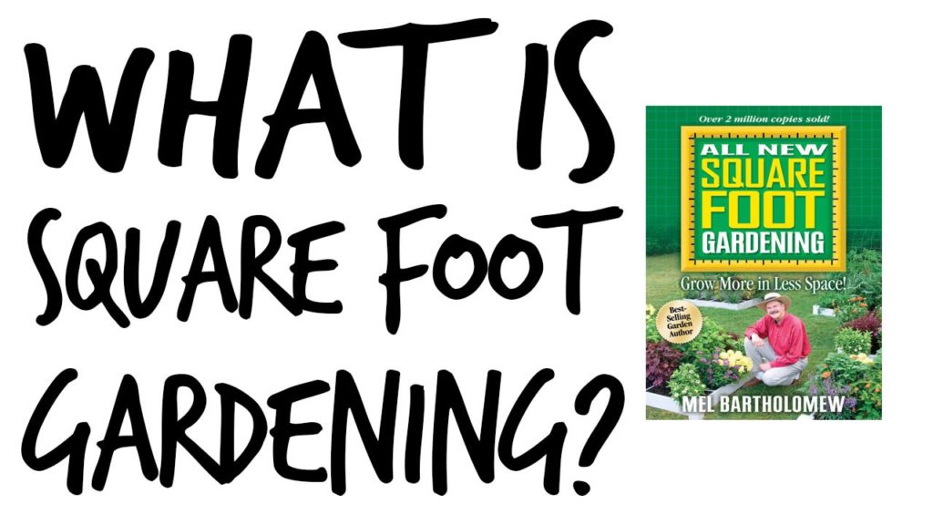 What is Square Foot Gardening?