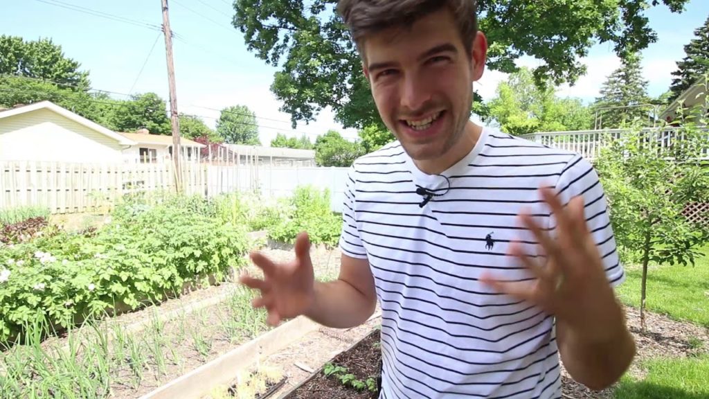 MIgardener: Common Gardening Mistakes & Fixes For Them Rather Than Pulling Plants Out Common Gardening Mistakes & Fixes For Them Rather Than Pulling Plants Out