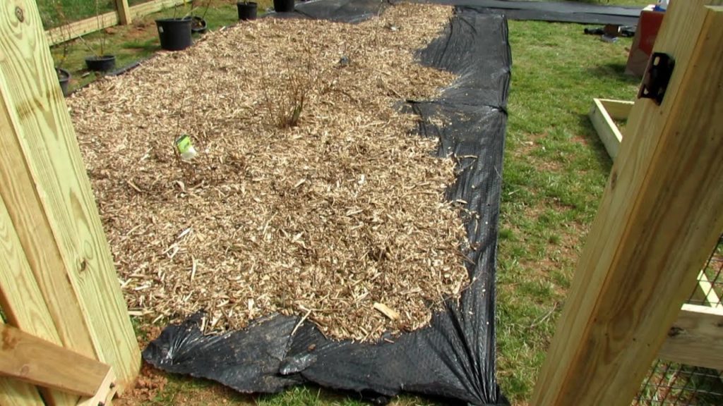 Gary Pilarchik: Building A Vegetable Garden: Using Garden Fabric, Cardboard, Mulching Paths & Building Raised Beds Building A Vegetable Garden: Using Garden Fabric, Cardboard, Mulching Paths & Building Raised Beds