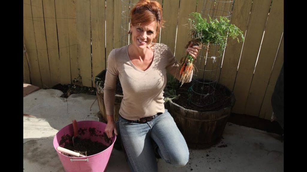 Cool Weather Crops - Planting Peas and Spinach