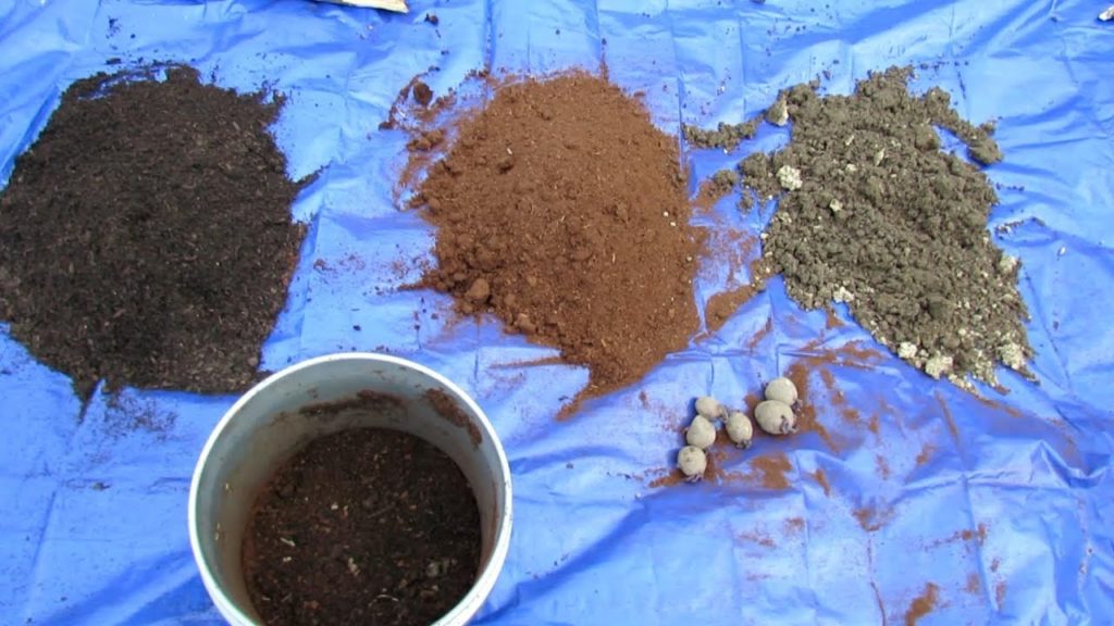 Gary Pilarchik: A Basic Container Garden Soil Mix: Number 1 Mistake, Making a Mix, Drainage & Planting Potatoes A Basic Container Garden Soil Mix: Number 1 Mistake, Making a Mix, Drainage & Planting Potatoes