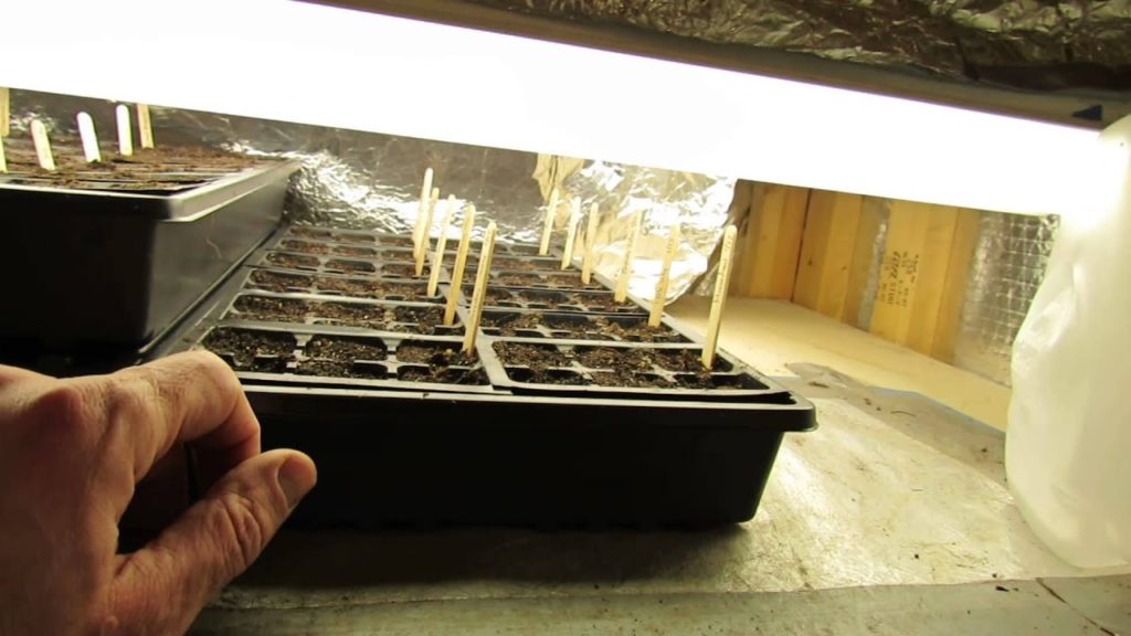 MFG 2016: Examples of Vegetable Grow-Light Closets, Boxes and Stations: Seed Starting Ideas!