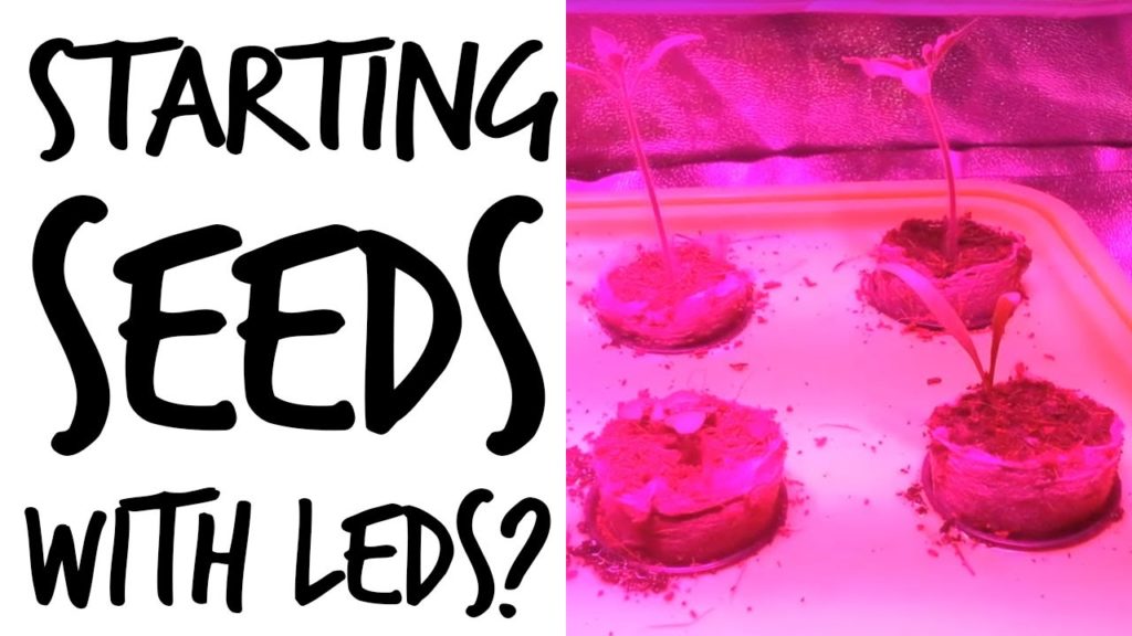 Epic Gardening: Starting Seeds with LEDs: Good or Bad? Starting Seeds with LEDs: Good or Bad?