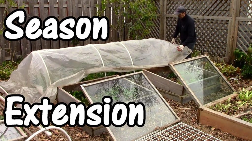 One Yard Revolution: Season Extension & Exciting News for Next Winter! Season Extension & Exciting News for Next Winter!