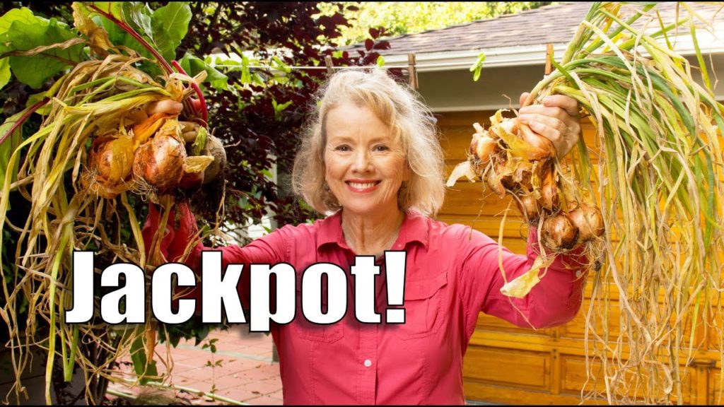 Growing FOOD on Your DRIVEWAY | Square Foot Gardening