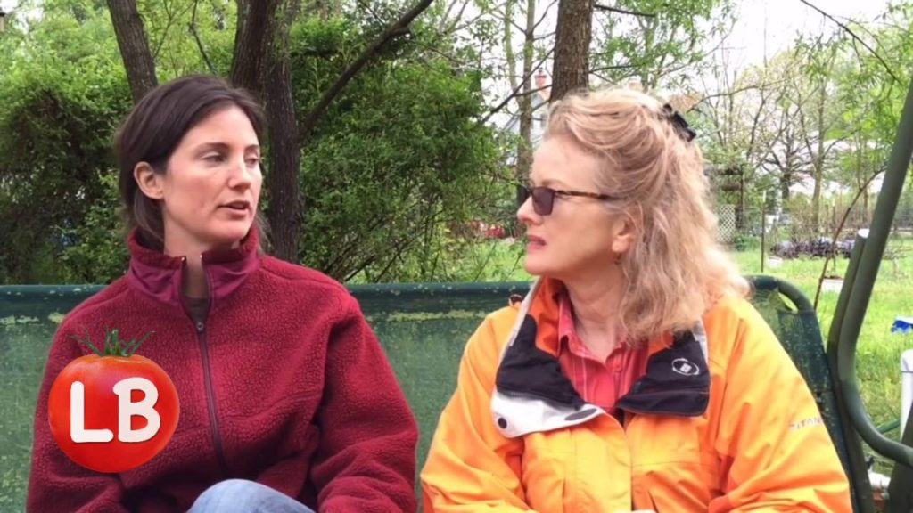 To Parts East | Road Trip - Day 3 Morning in Delaware | Kaye's Vlog