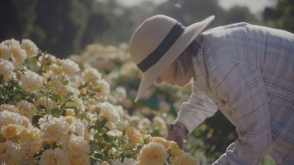 Special: Descansco Gardens