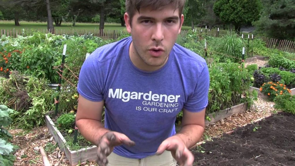 MASSIVE Potato Harvest!
