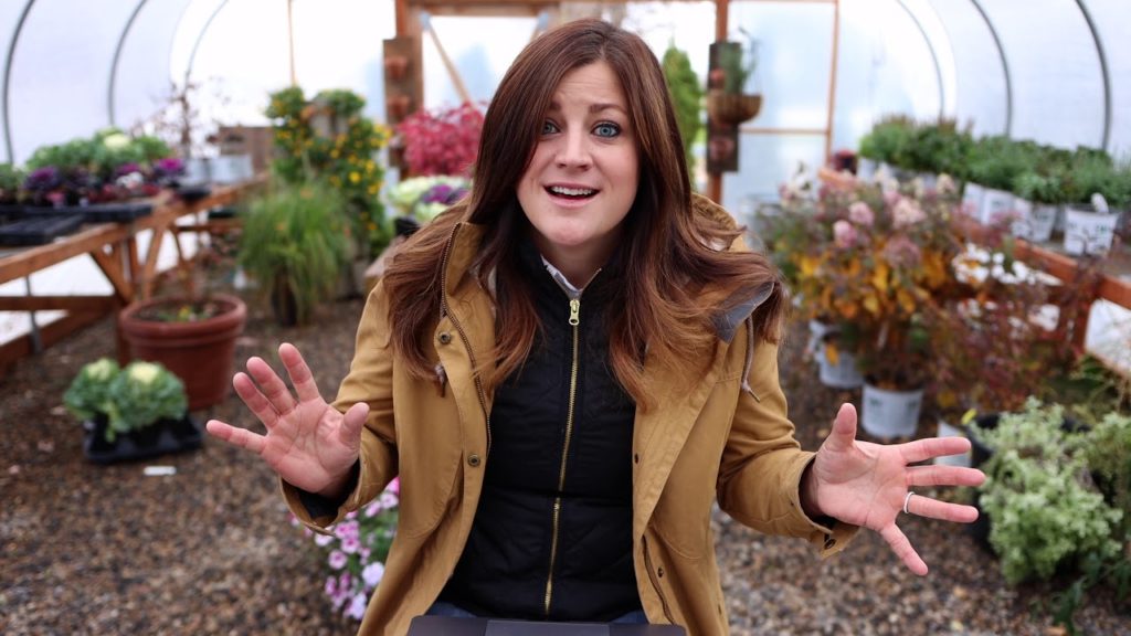 Garden Answer: Too Many Plants, Harvesting Parsnips, Grasses, Decorating and Catching Skunks! Too Many Plants, Harvesting Parsnips, Grasses, Decorating and Catching Skunks!