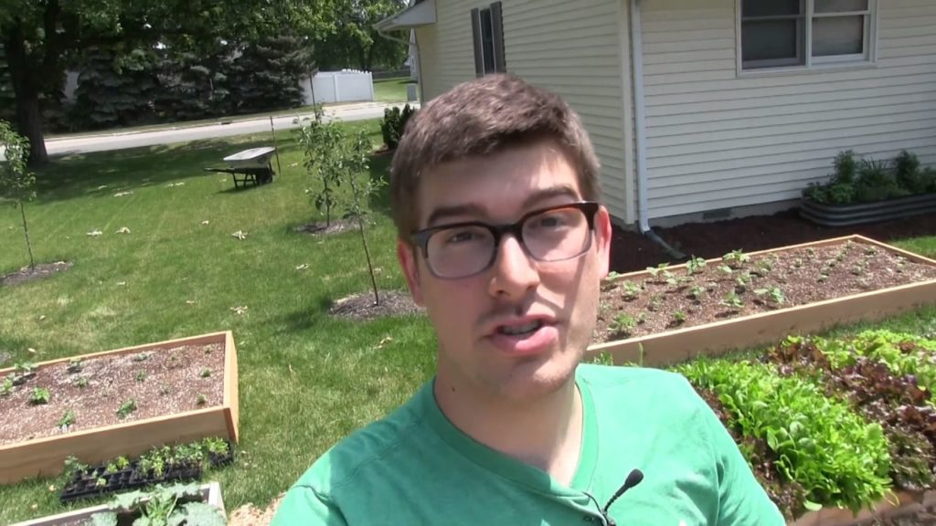 MIgardener: The Internet Lost It's Mind When I Placed Raised Beds Directly on Grass The Internet Lost It's Mind When I Placed Raised Beds Directly on Grass