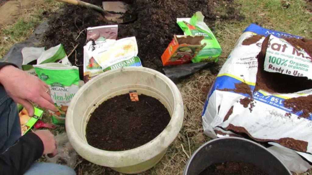 The Basics to Planting Seed Potatoes: Fill the Container 1/2 Way to Start - MFG 2014