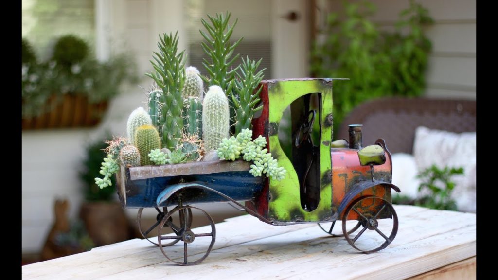 Truck Load of Cactus