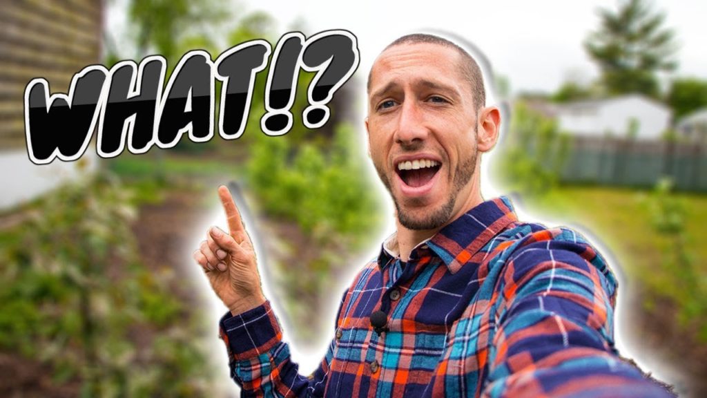 The stuff I HAVEN'T SHOWN, SECRET side GARDEN!