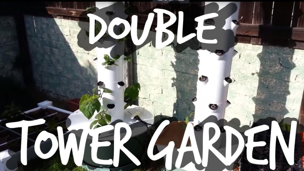 Epic Gardening: Growing With Two Tower Gardens Growing With Two Tower Gardens