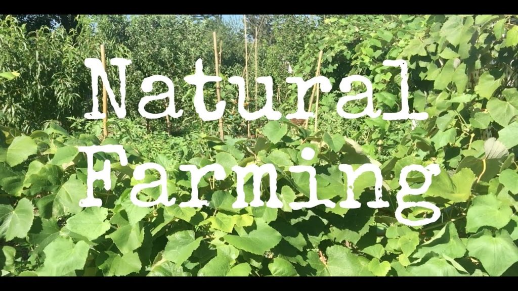 Natural Farming, A Functional Design Part 1