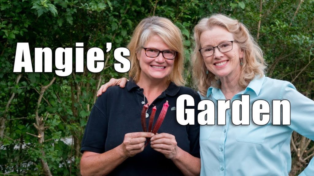 Heritage Garden Tour | Ashland, Kentucky | Part 6