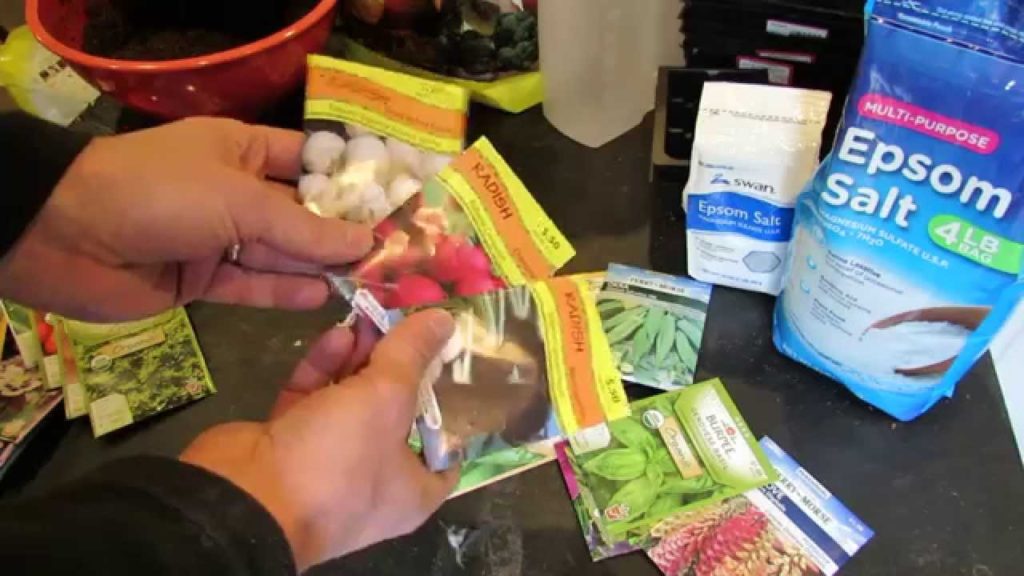 MFG 2015: All About Vegetable Garden Seeds - Annuals, Perennials, Hybrids, Heirlooms, Organic & More