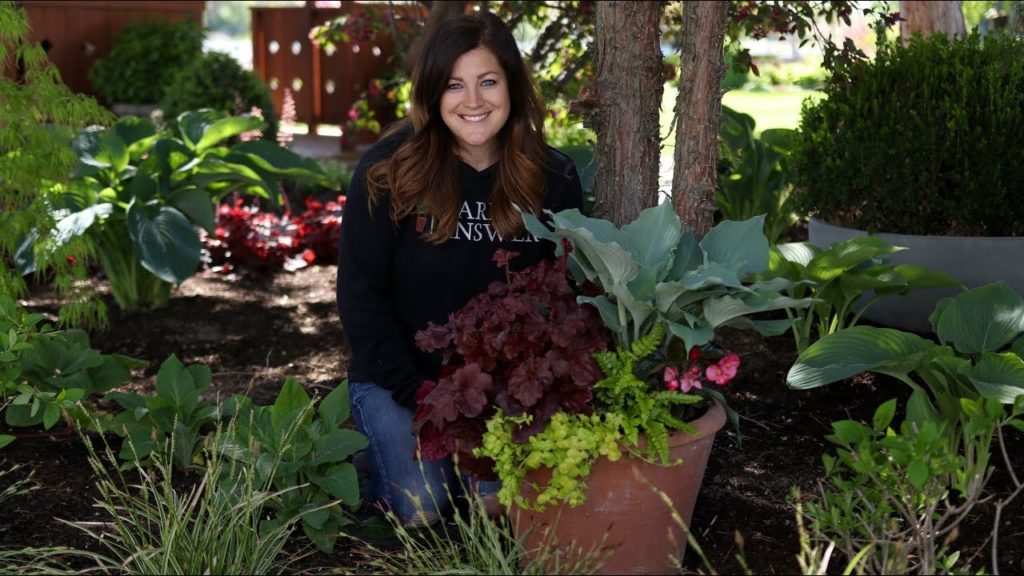 Garden Answer: Perennial Shade Container 😍🌿🌥// Garden Answer Perennial Shade Container 😍🌿🌥// Garden Answer