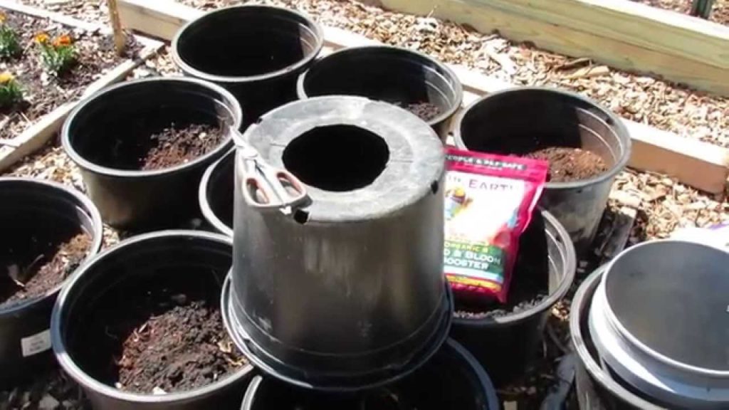 Principles of a Raised Container - Raised Bed Garden: Saves Money & Concentrates Resources -TRG 2015