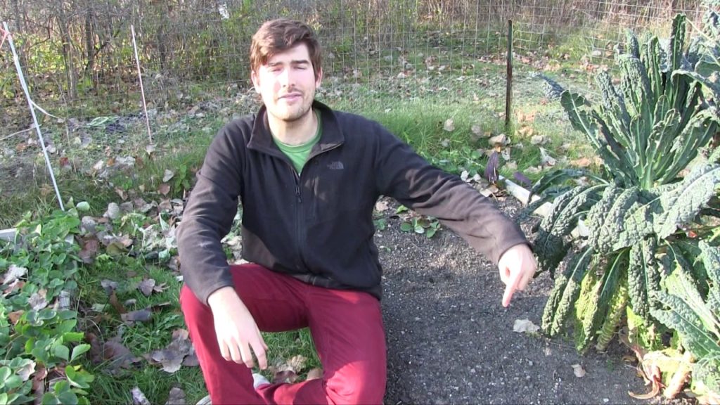 5 Components To Perfect & Healthy Soil