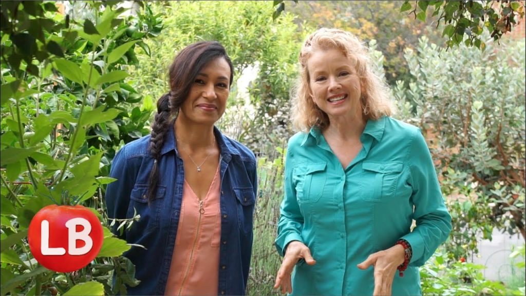 A Fan Visits Late Bloomer Garden | Kaye's Vlog