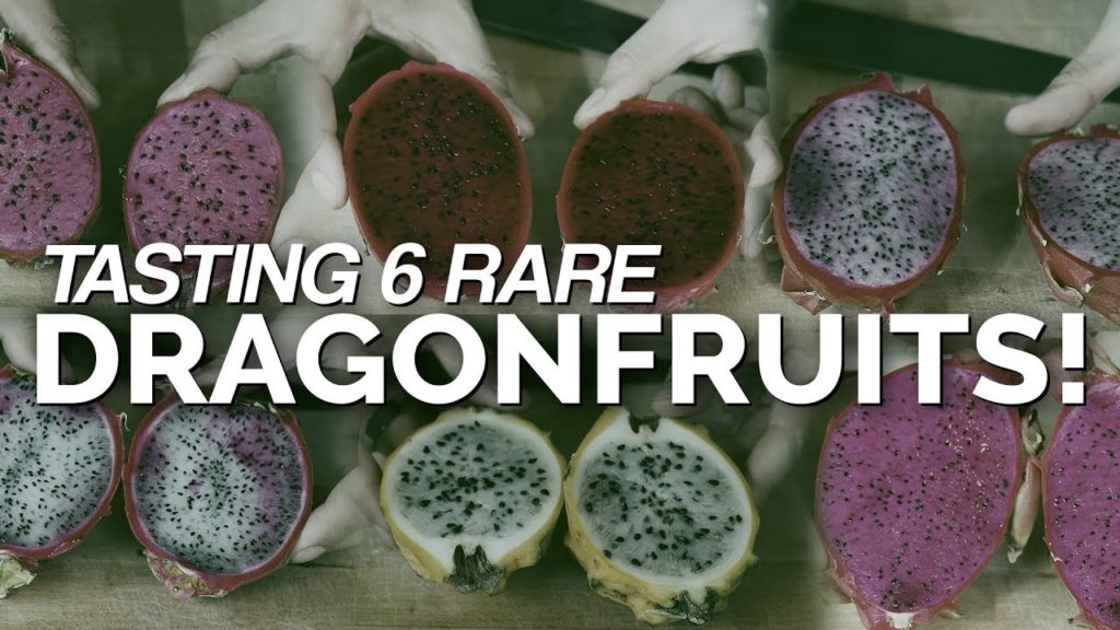 6 Rare Dragonfruit Varieties Taste Test!