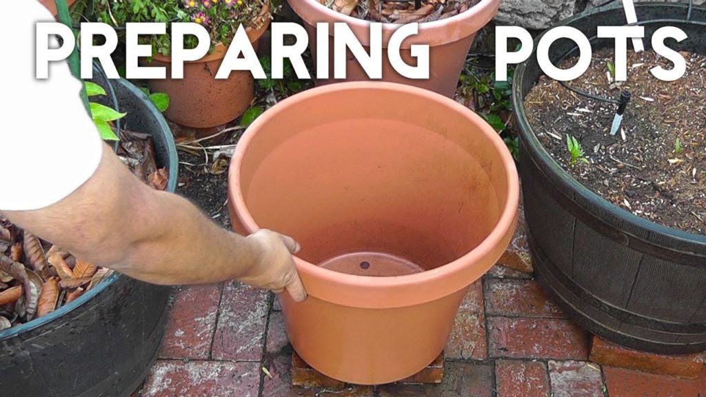 California Gardening: Get your Pots or Containers ready for planting! Get your Pots or Containers ready for planting!