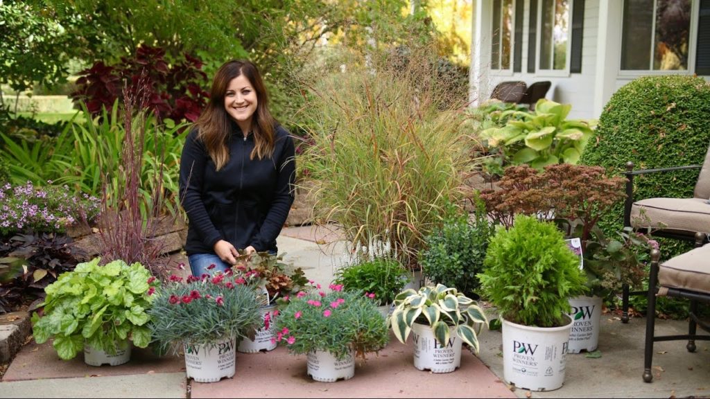 Garden Answer: Show & Tell – Plants That Look Great in Late Fall // Garden Answer Show & Tell - Plants That Look Great in Late Fall // Garden Answer