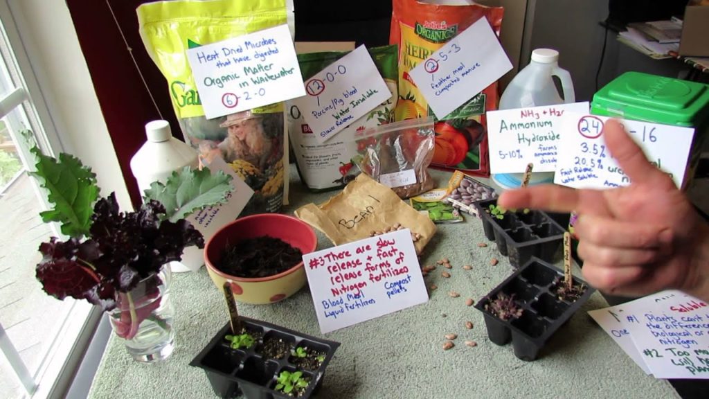 Understanding Garden Nitrogen: What it Does, Soluble, Insoluble, Organic, Chemical & Use - TRG 2014