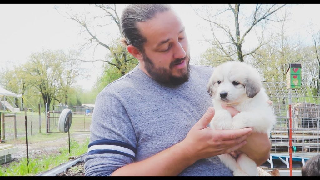 We Said We'd Never Get Another Guardian Dog (& A Shindig Recap) | VLOG