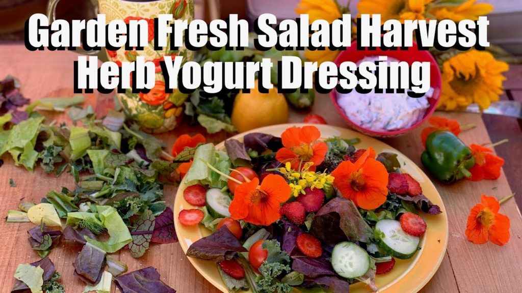 Harvesting Garden Fresh Salad & Making Herb Yogurt Salad Dressing