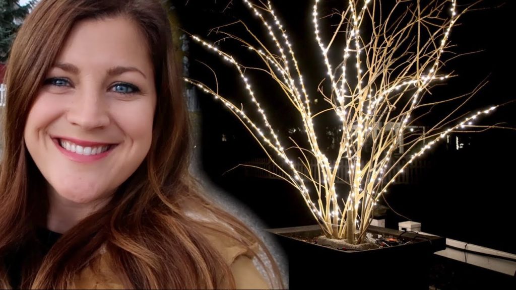 Garden Answer: Prepping My Planters for Christmas- Part 1! 🎄😃// Garden Answer Prepping My Planters for Christmas- Part 1! 🎄😃// Garden Answer