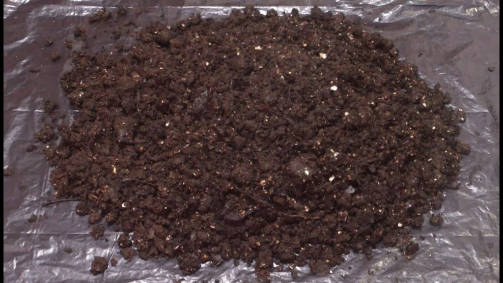 Harvesting Worm Castings From a Flow-Through Worm Bin