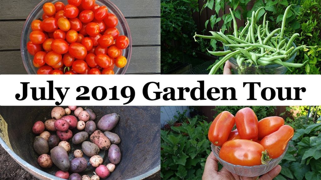 California Garden Tour July 2019