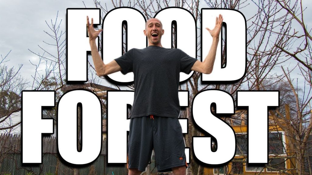 Food Forest Year 7 Day 1!!!