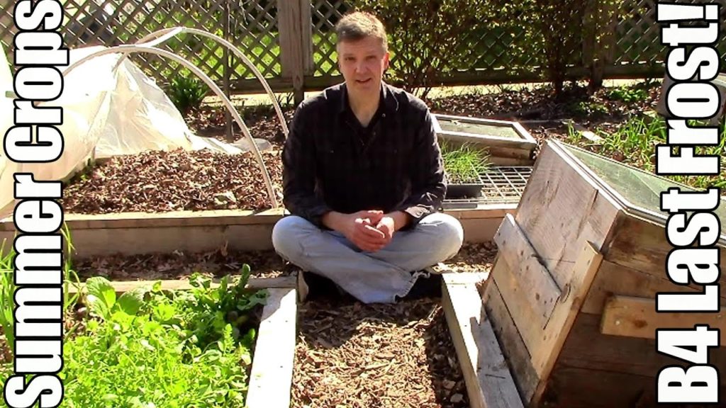 How to Start Summer Crops Outside B4 the Last Frost (The OYR Way)