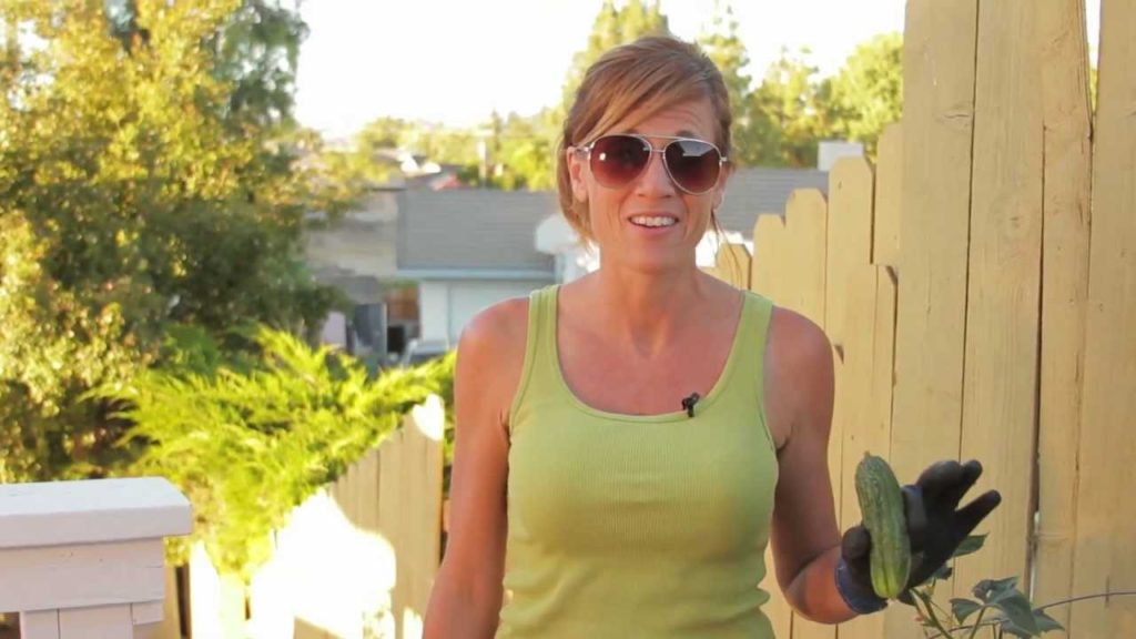 CaliKim: Vertical Cucumbers?? Vertical Cucumbers??