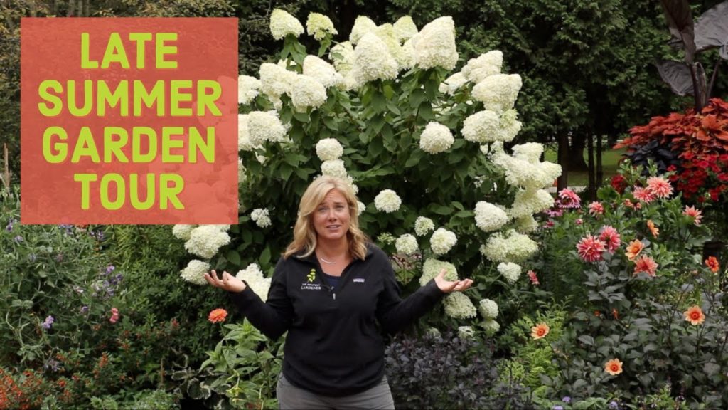 Complete garden tour | September 2019 | The Impatient Gardener Complete garden tour | September 2019 | The Impatient Gardener