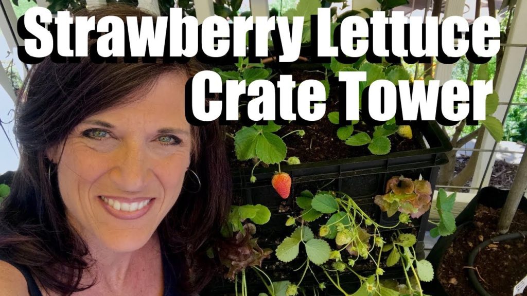 How to Make a Strawberry Lettuce Crate Tower, Growing Vertically//Small Space Garden Series #4