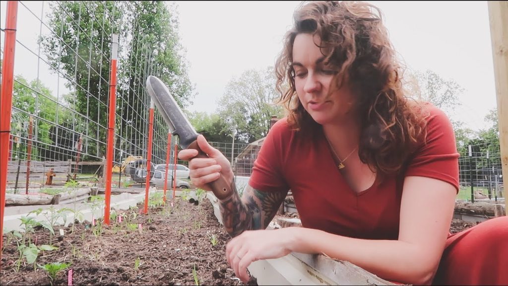 Roots and Refuge Farm: My Favorite GARDEN TOOLS | Roots and Refuge Farm My Favorite GARDEN TOOLS | Roots and Refuge Farm