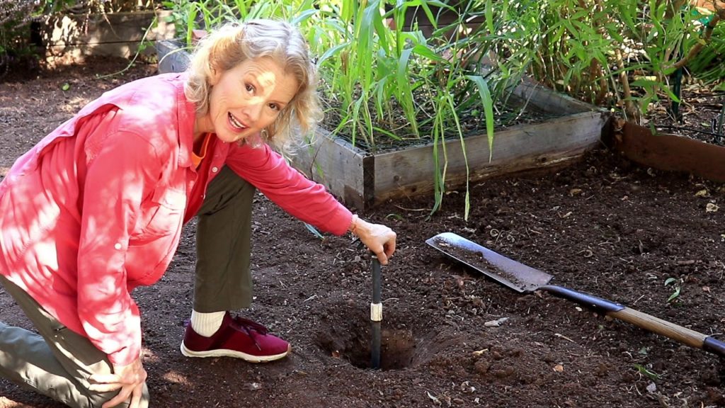You'll NEVER SEE my garden like THIS again! Raised Bed is Gone!